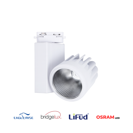 30W Led Ray Spot