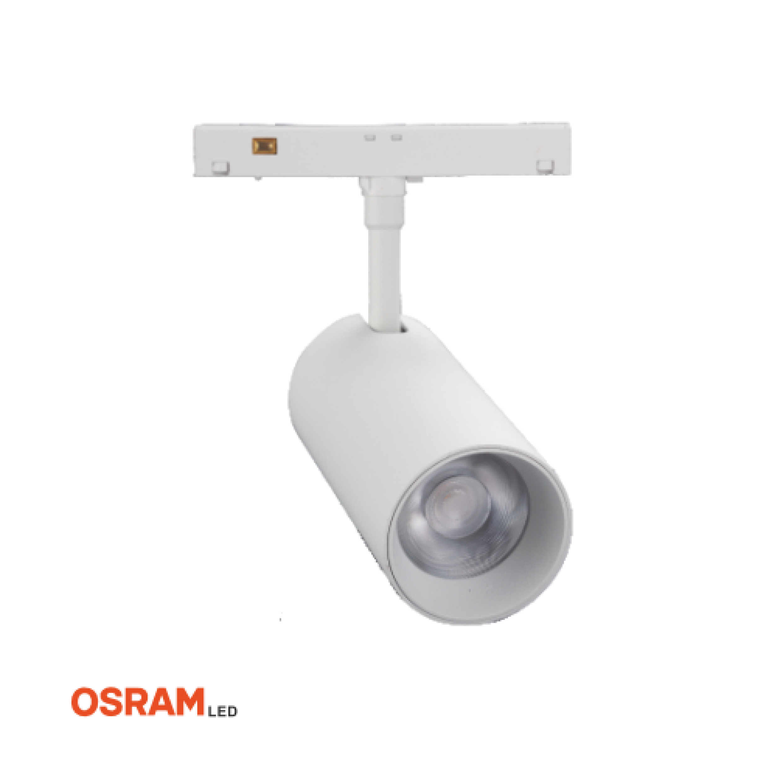 20W-Magnet Ray Spot